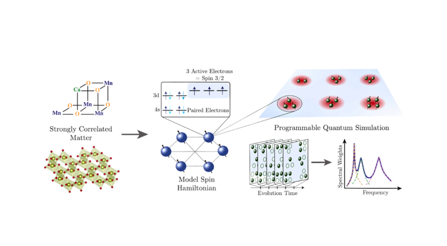 Model Hamiltonian approach to quantum simulation of strongly-correlated matter